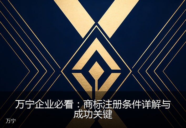 万宁企业必看：商标注册条件详解与成功关键
